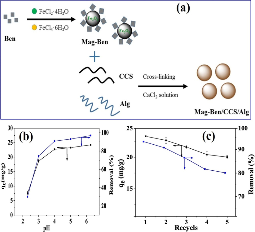 (a) a schematic diagram describes the preparation of Mag-Ben/CCS/Alg hydrogel beads, (b) effect of pH on the adsorption profile and (c) reusability profile for Mag-Ben/CCS/Alg hydrogel beads MCS/ZnO@Alg beads. Reprinted with permission from (Zhang et al., 2019); Copyright 2021, Elsevier.