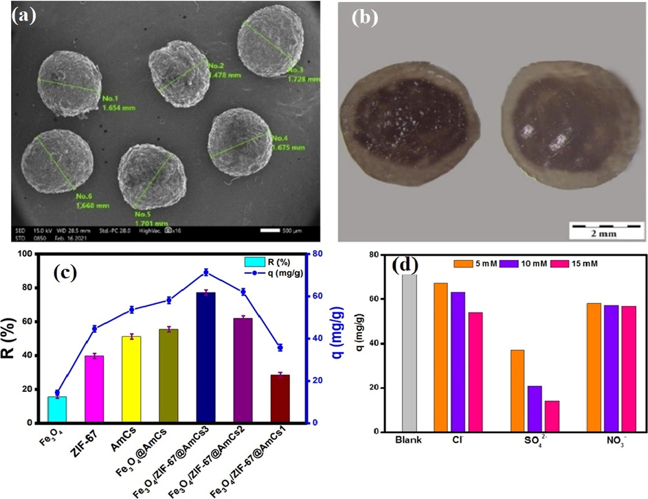 (a) SEM image of Fe3O4/ZIF-67@AmCS composite beads (b) cross-sectional stereo microscope of Fe3O4/ZIF-67@AmCS composite beads, (c) Adsorption profiles of AmCS, ZIF-67 Fe3O4 and Fe3O4/ZIF-67@AmCS composite beads and (d) Effect of coexisting anions on the removal of Cr(VI). Reprinted with permission from (Omer et al., 2021); Copyright 2021, Elsevier.