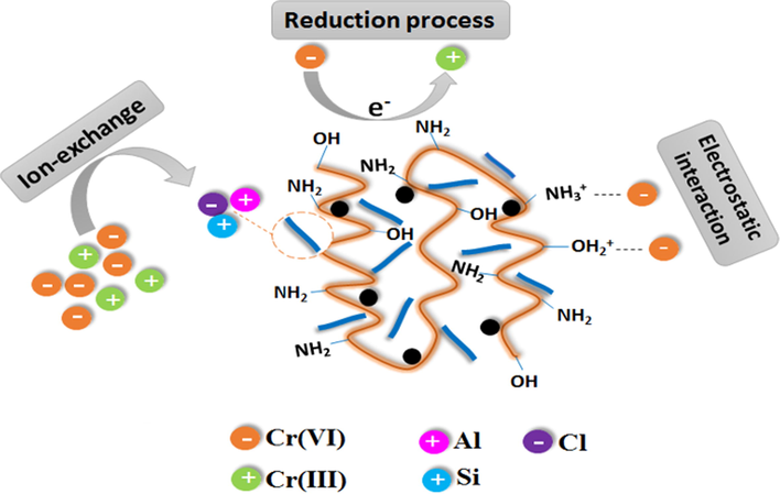 The suggested mechanism for the adsorption of Cr (VI) on ATP@Fe3O4-AmCS magnetic composite. Reprinted with permission from (Eltaweil et al., 2021); Copyright 2021, Springer Nature.