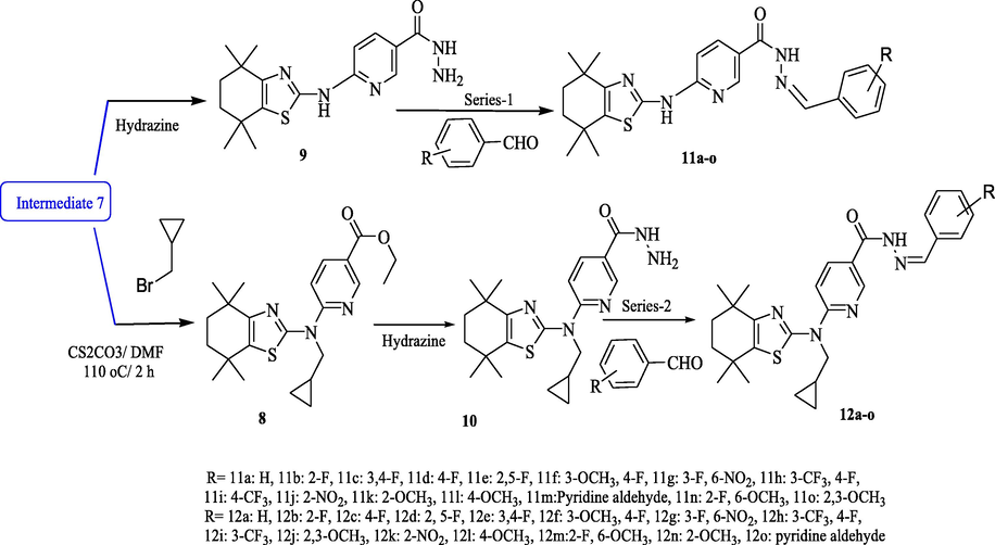 Synthesis of tetrahydro benzo[d]thiazole tethered nicotinohydrazide derivatives.