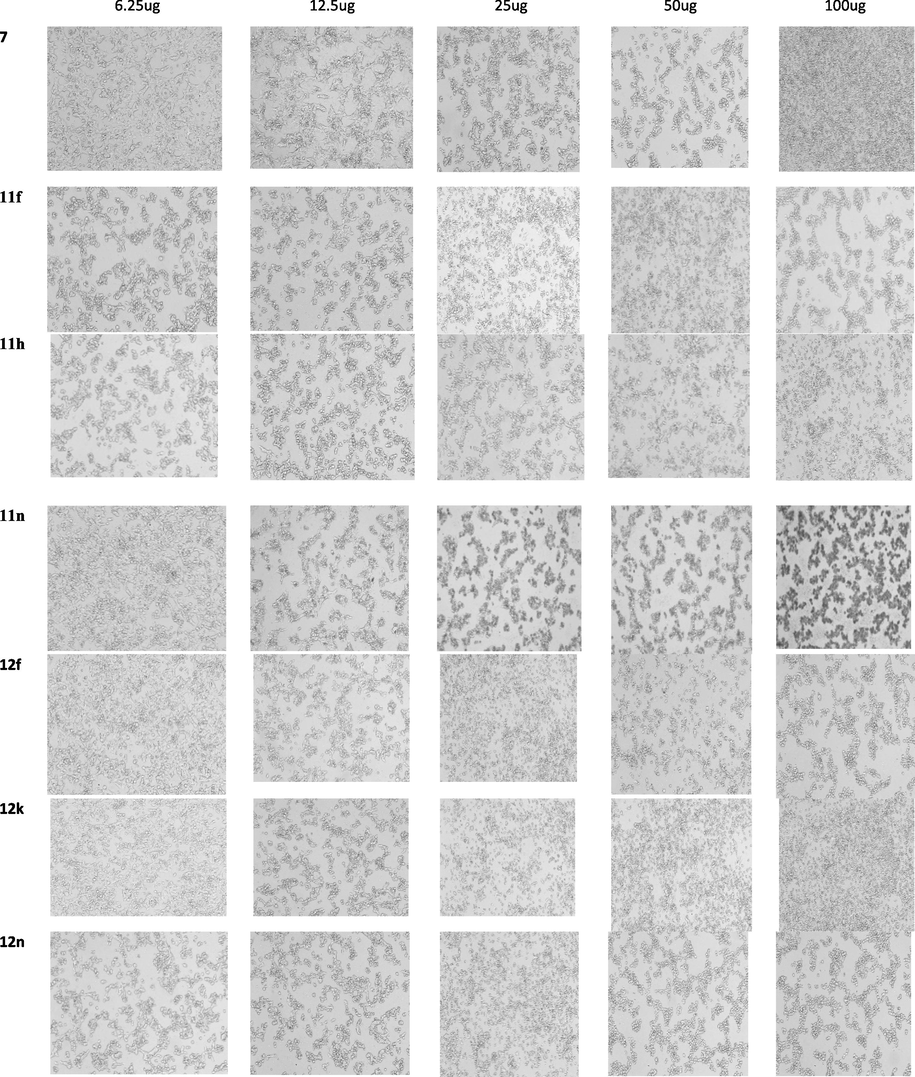 Comparison of the dose–response of selected compounds of series1 showing lower IC50 with MCF 7cell lines and response of increasing dose concentration of the compounds of series1 added to the cells in culture.