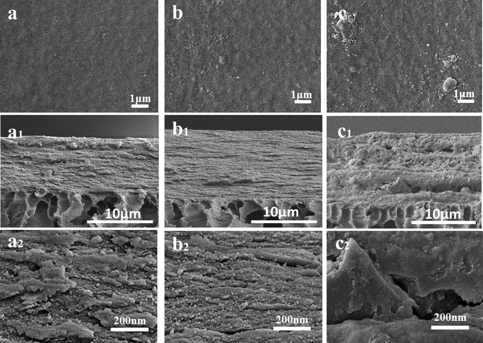 SEM images of the membrane surfaces and cross-section with the rGO@NaLS/CaAlg membrane. (different rGO@NaLS content: 0% (a, a1, a2); 6 wt% (b, b1, b2); 10 wt% (c, c1, c2)).