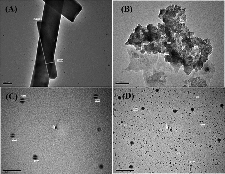 High-resolution TEM images of the (A) ligand, (B)V(III) complex, (C) Mn(II) complex, and (D) Fe(III) complex.