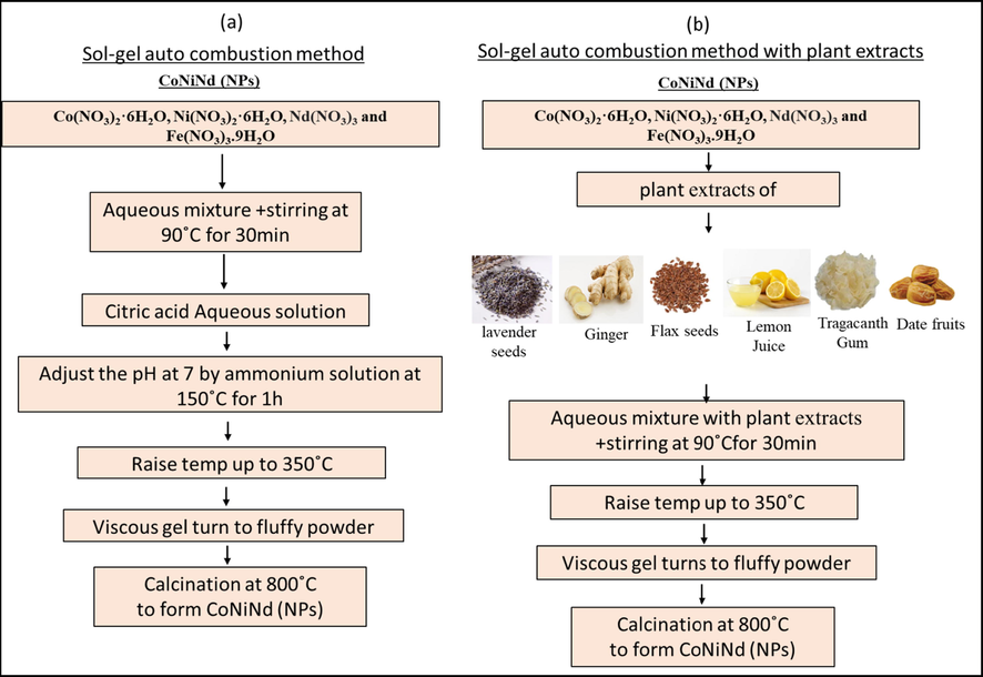 The scheme of preparation CoNiNd (NPs) with (a) Sol-gel auto combustion method and (b) with plant extracts (CoNiNd (NPs) plant extracts).