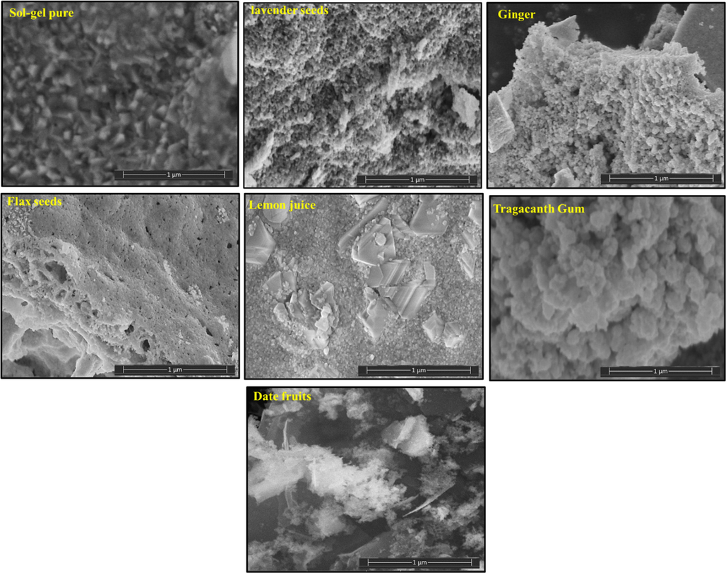 The SEM images of CoNiNd (NPs) plant extracts.