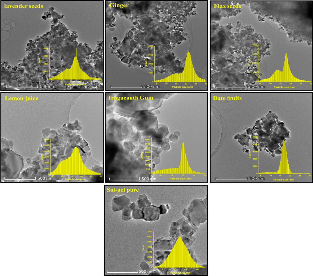 TEM images with histogram of particles size distribution of CoNiNd (NPs) plant extracts.