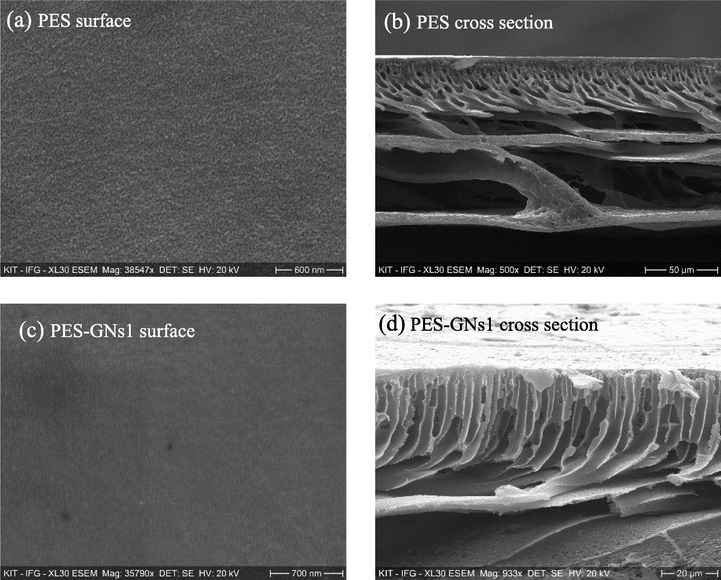 Surface morphology and cross-sectional of a, b) PES, c, d) PES-GNs1, e, f) PES-GNs2, g, h) PES-GNs3 and I, j) PES-GNs4. K) pore size and porosity of membranes.