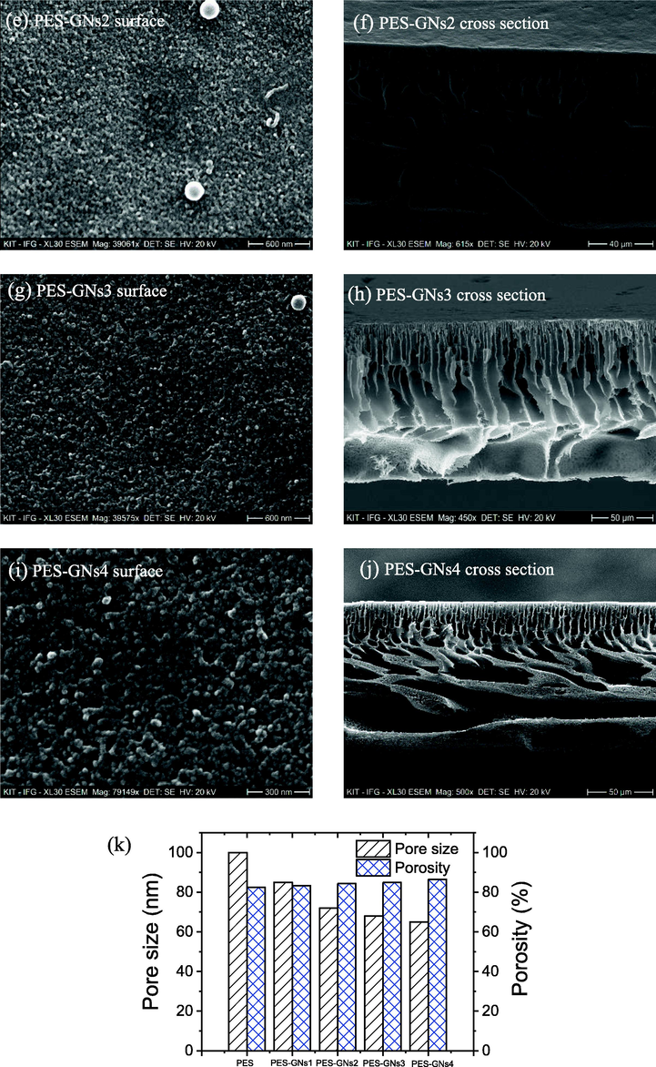 Surface morphology and cross-sectional of a, b) PES, c, d) PES-GNs1, e, f) PES-GNs2, g, h) PES-GNs3 and I, j) PES-GNs4. K) pore size and porosity of membranes.