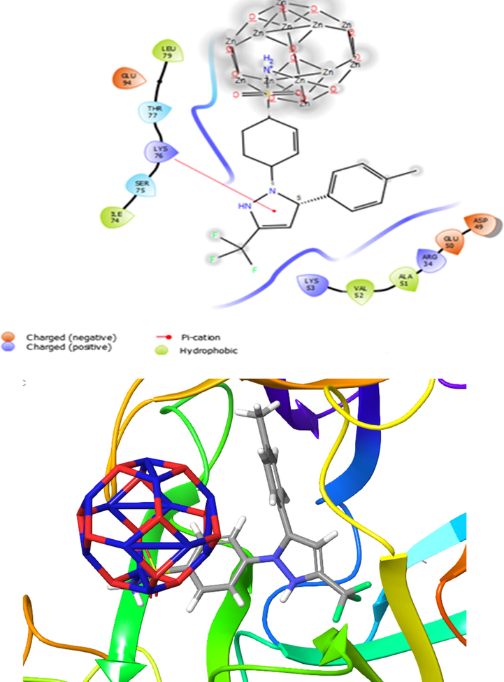 Presentation of 2D and 3D models of interactions between CXB-Zn12O12 complex (State II) and IL-1 receptor (PDB ID: 2LX5).