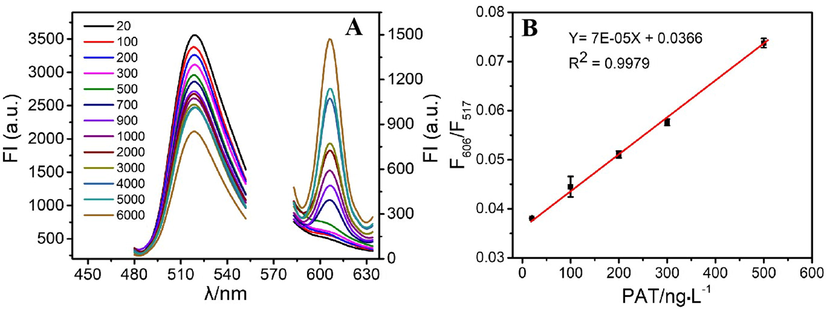 (A) The fluorescence response of the aptasensor at varied PAT concentrations (20, 100, 200, 300, 500, 700, 900, 1000, 2000, 3000, 4000, 5000, and 6000 ng·L−1). (B) The relationship between the F606/F517 and PAT concentration.