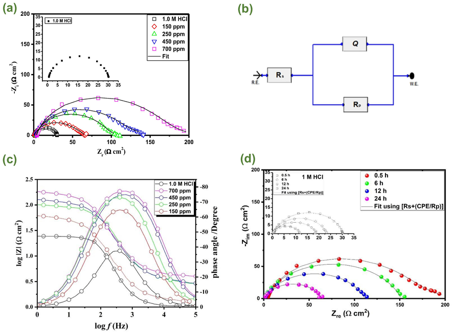 Impedance results of carbon steel in 1.0 mol/L HCl without and with different concentrations of AVU extract at 303 K; (a) Nyquist plots, (b) Equivalent electrical circuit, (c) Bode plots, and (d) Nyquist plots of carbon steel in 1.0 mol/L HCl and with 700 ppm of AVU extract at different immersion times.