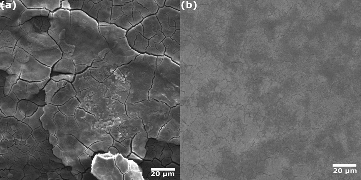 SEM images of carbon steel in (a) 1.0 mol/L HCl and (b) in presence of 700 ppm of AVU extract after 12 h immersion.