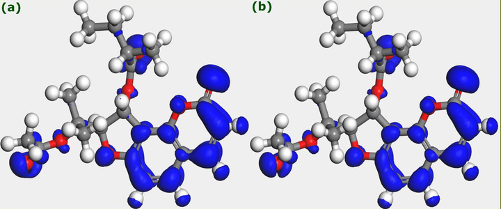 Fukui function iso-surfaces of Edulisin III, (a) f + , and (b) f - .