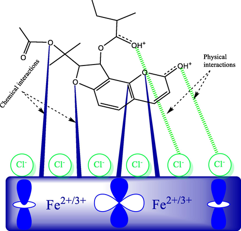 A graphical representation of the potential corrosion inhibition mechanism; case of Edulisin III.