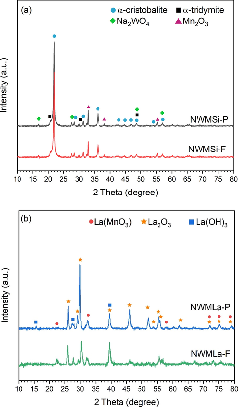 XRD patterns of fresh (a) NWMSi and (b) NWMLa in powder and fiber forms.