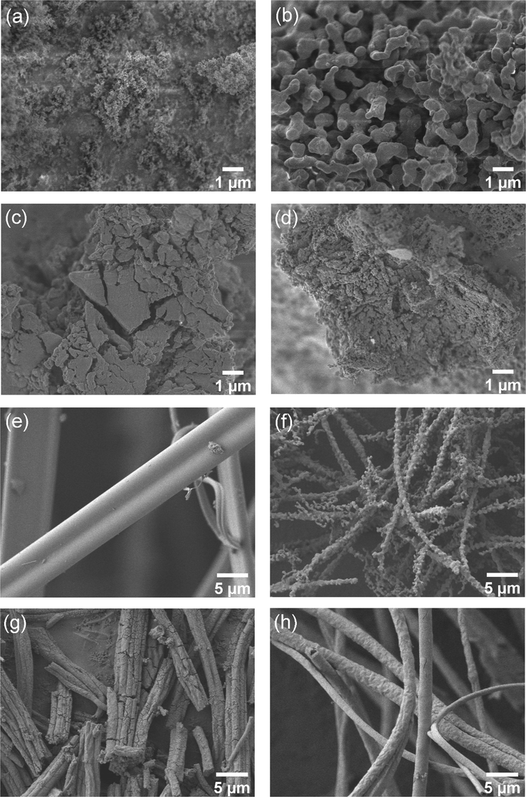 SEM micrographs of (a) Si-P, (b) NWMSi-P, (c) La-P, d) NWMLa-P, (e) Si-F, (f) NWMSi-F, (g) La-F, and (h) NWMLa-F.