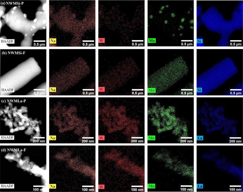 Elemental distribution analysis of NWMSi-P, NWMSi-F, NWMLa-P, and NWMLa-F recorded by HAADF-STEM with EDS.