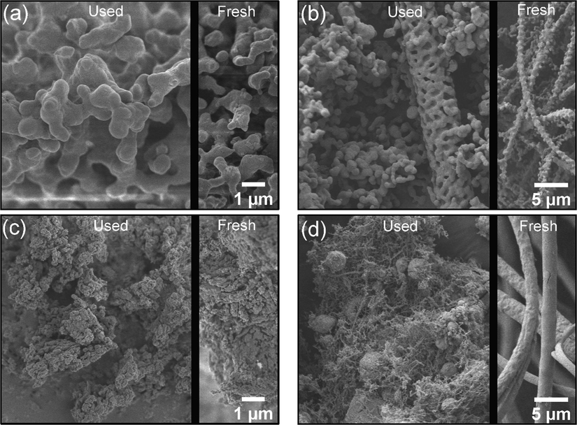 SEM images of used catalysts: (a) NWMSi-P, (b) NWMSi-F, (c) NWMLa-P, and (d) NWMLa-F.