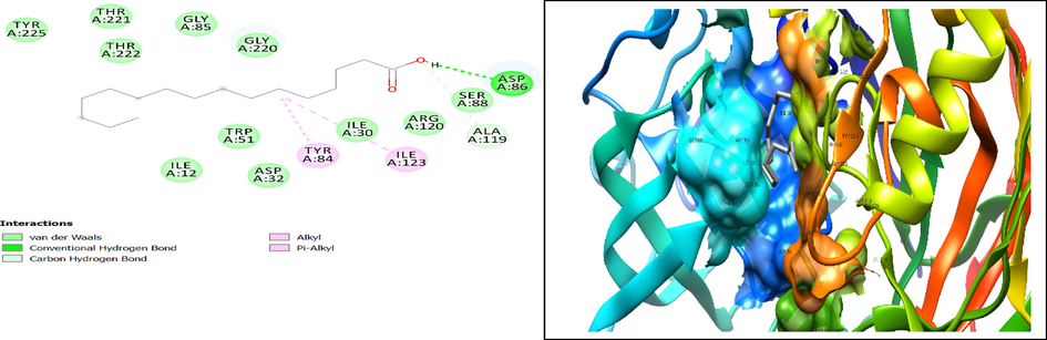 2D and 3D representation of palmitic acid and 2QZX interaction involving Pi-alkyl and conventional hydrogen bond at amino acid residue of TYR84 and ILE123 as well as ASP86 respectively.