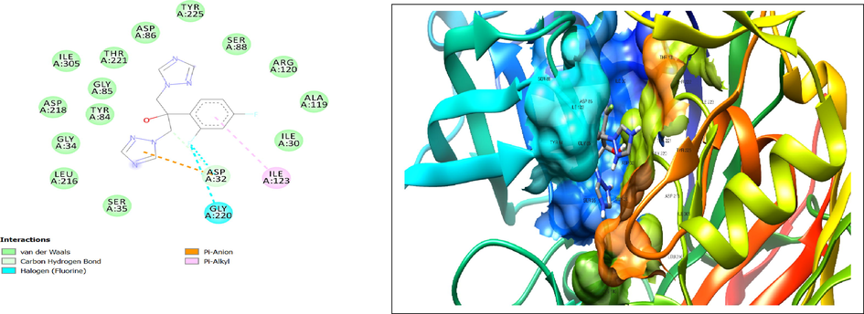 2D and 3D representation of interaction between fluconazole and 2QZX involving amino acid residue of ILE123, ASP32 and GLY220.