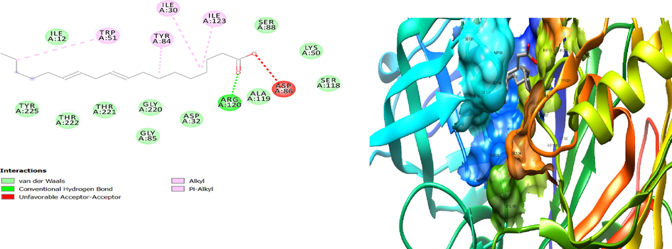 2D and 3D representation of interaction between linoleic acid and 2QZX involving ILE30, ILE123, TYR64 and TRP51 as well as ARG120 and ASP86.