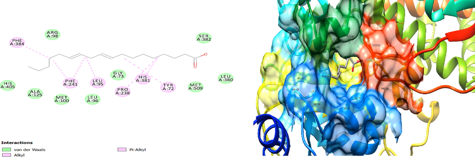 2D and 3D structure alkyl and pi-alkyl interaction between linoleic acid and 5EAD involving amino acid residue of PHE384, PHE241, LEU95, HIS381, TYR72, PRO238.