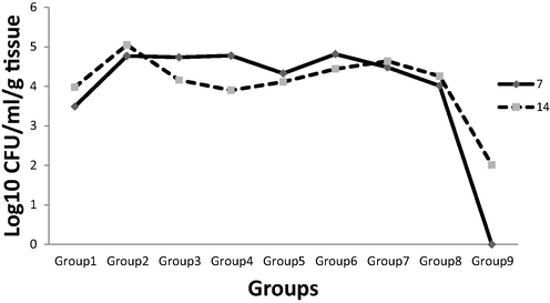 Fungal Burden of Kidney Colonized with C. albicans.