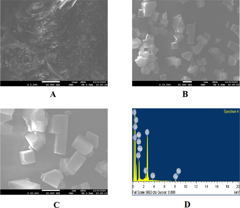 Scanning Electron Microscopy (SEM) and Energy Dispersive Spectroscopy (EDAX) analysis of Nano crystals (NC). (A) NC at × 2000 Maginification (B) NC at × 10,000 Maginification (C) NC at × 20,000 Maginification (D) EDAX analysis of NC.