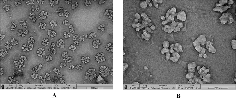 Transmission electron microscopy (TEM) study. (A) NC at × 40,000 Maginification (B) NC at ×120000 Maginification.