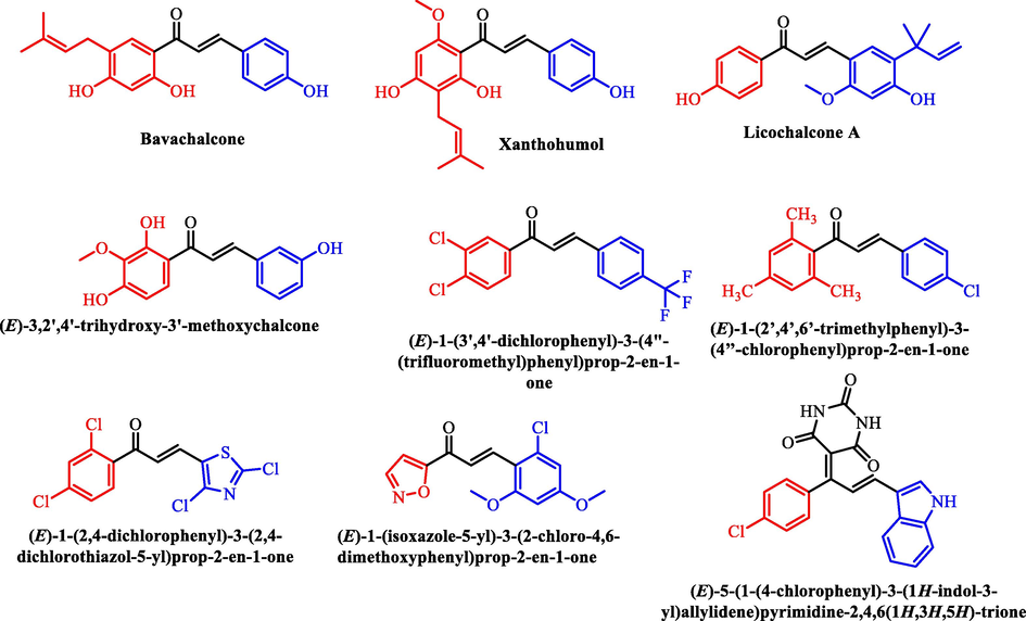 Structure of chalcone showing the biological importance of different structural fragments.