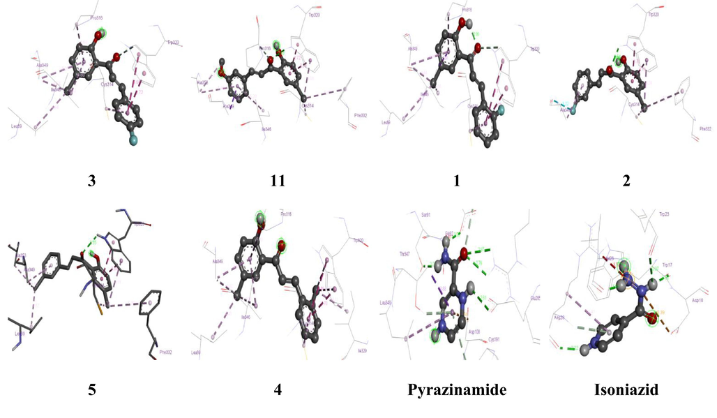 3D Interactions of selected compounds with Isocitrate Lyase protein amino acid residues.