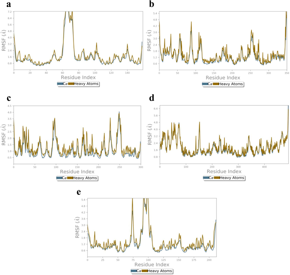 RMSF (Å) of the simulated apoproteins (a) 4XCT (b) 5F95, (c) 2AZ5, (d) 4C13 and (e) 4MOT during 100 ns of MD simulation.