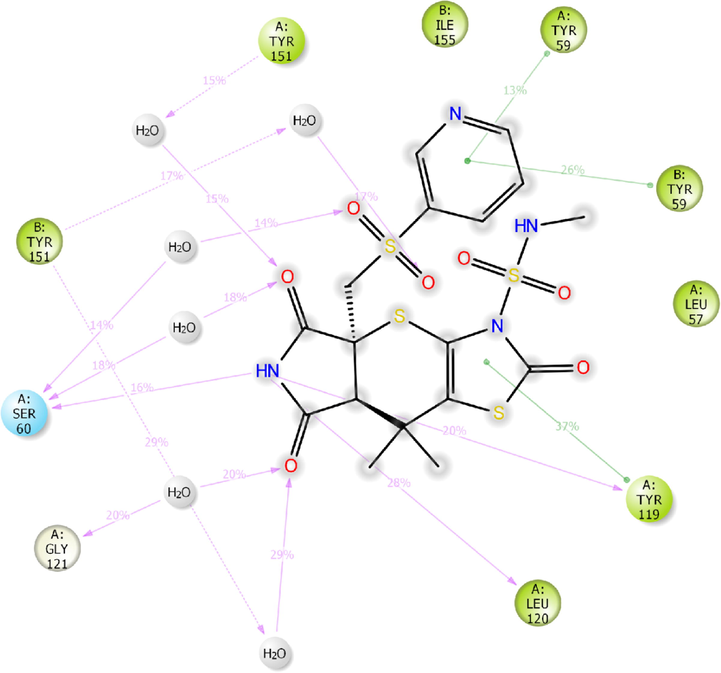 2D-interaction diagram of H1 with the catalytic pocket residues of TNF-α protein (PDB ID: 2AZ5) throughout the 100 ns simulation trajectory.