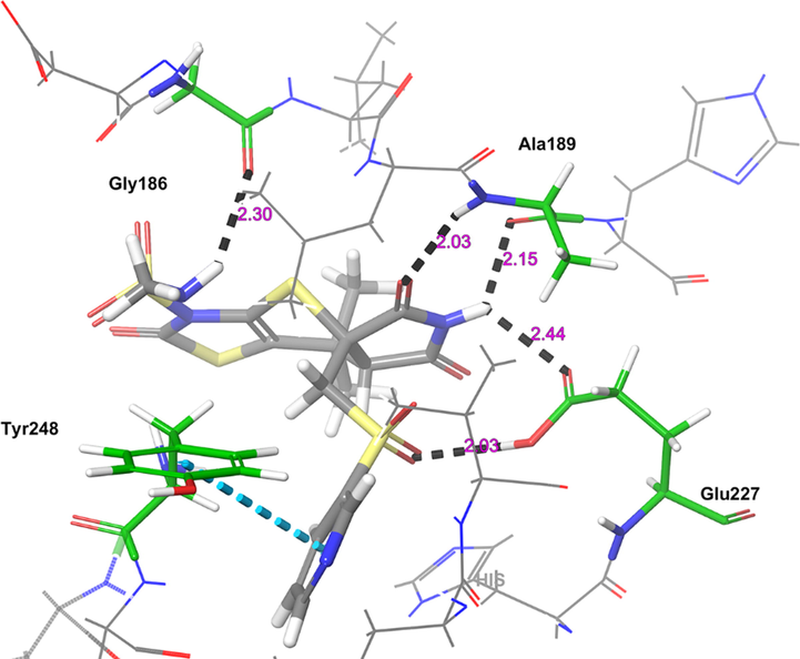 The 3D-interaction diagram of H1 in the catalytic pocket of MMP-9 (PDB ID: 4XCT) exposing key interactions.