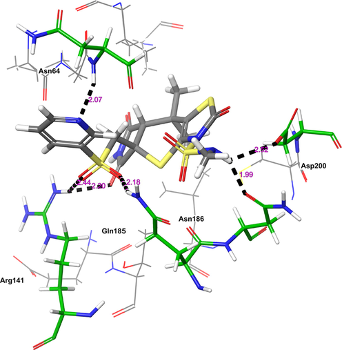 The 3D-interaction diagram of H1 in the catalytic pocket of GSK-3β (PDB ID: 5F95) exposing key interactions.