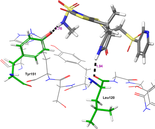 The 3D-interaction diagram of H1 in the catalytic pocket of TNF-α (PDB ID: 2AZ5) exposing key interactions.