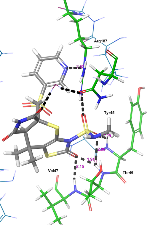 The 3D-interaction diagram of H1 in the catalytic pocket of MurC (PDB ID: 4C13) exposing key interactions.