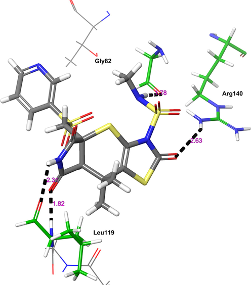 The 3D-interaction diagram of H1 in the catalytic pocket of ParE (PDB ID: 4MOT) exposing key interactions.