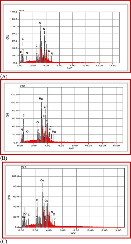 EDX patterns of(A) UO2(II), (B) Hg(II) and (C) Cu(II) complexes.
