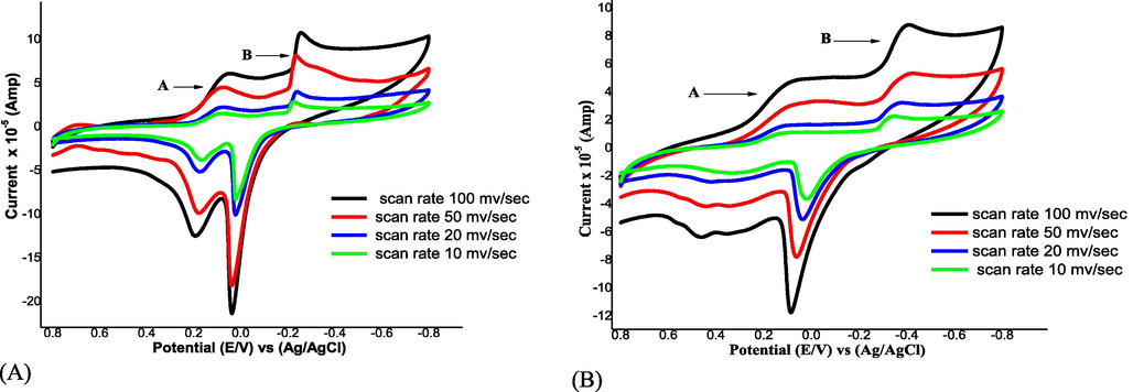 Cyclic voltammograms of CuCl2 at different scan rates in absence (A) and in presence (B) of H3L and at 298.15 K.