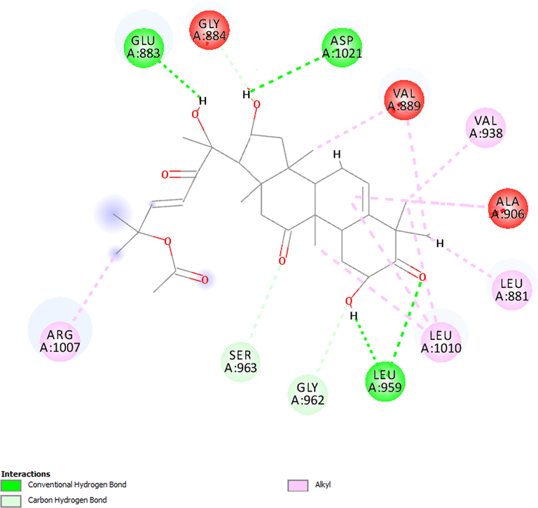 Molecular interactions established between cucurbitacin B and JAK1.