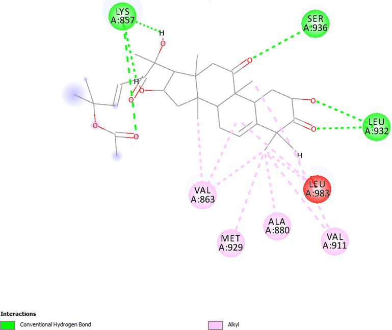 Molecular interactions established between cucurbitacin B and JAK2.