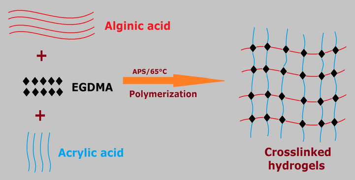 Gelation mechanism of Alg-g-PAcA hydrogels.