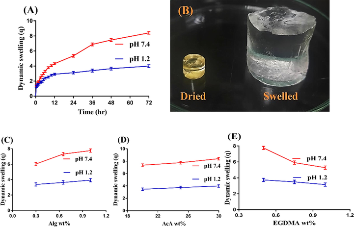 (A) Effect of pH on dynamic swelling, (B) Dried and swelled hydrogel; effects of (C) Alg, (D) AcA, and (E) EGDMA on dynamic swelling of Alg-g-PAcA hydrogels.