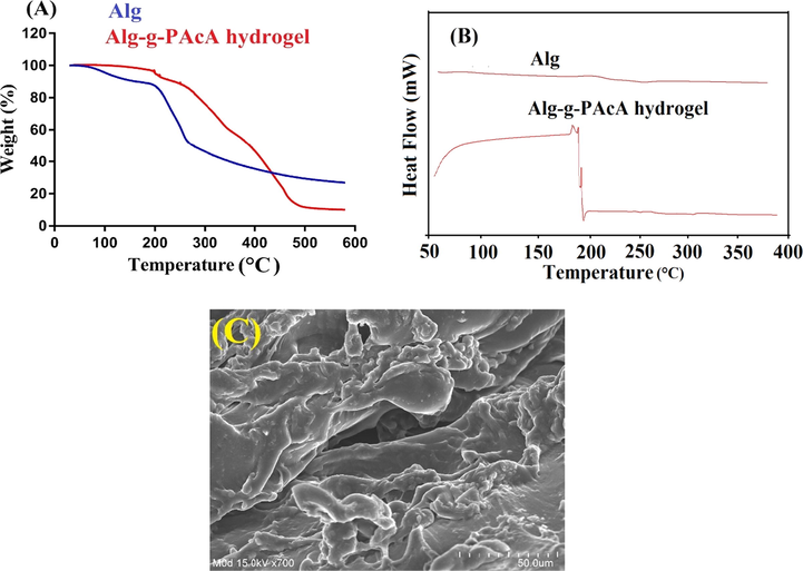 (A) TGA, (B) DSC, and (C) SEM of Alg-g-PAcA hydrogels.