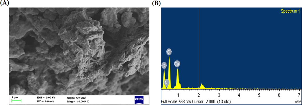 SEM and EDX analysis of synthesized CSP-dP-NCs. (A): SEM analysis of fabricated CSP-dP-NCs exhibits the irregular and tetragonal appearance. (B): EDX analysis of synthesized CSP-dP-NCs revealed the presence carbon, nitrogen, copper and oxygen components.