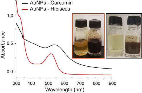 UV–Vis spectroscopy of AuNPs-Hibiscus (red spectrum) and AuNPs-Curcumin (black spectrum). Insets are digital photos of hibiscus extraction and prepared AuNPs (left), and curcumin extraction and prepared AuNPs (right).