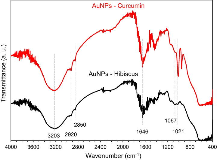 Fourier transform infrared (FTIR) spectra of AuNPs-Hibiscus and AuNPs- curcumin between 4000 and 400 cm−1. The characteristics bands are marked.