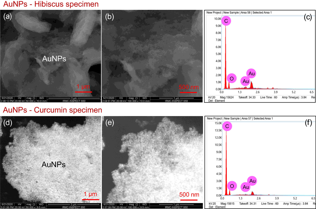 SEM images of the prepared AuNPs-Hibiscus and AuNPs-Curcumin at two magnifications (x50, 000 and x100, 000) along with EDS spectra.