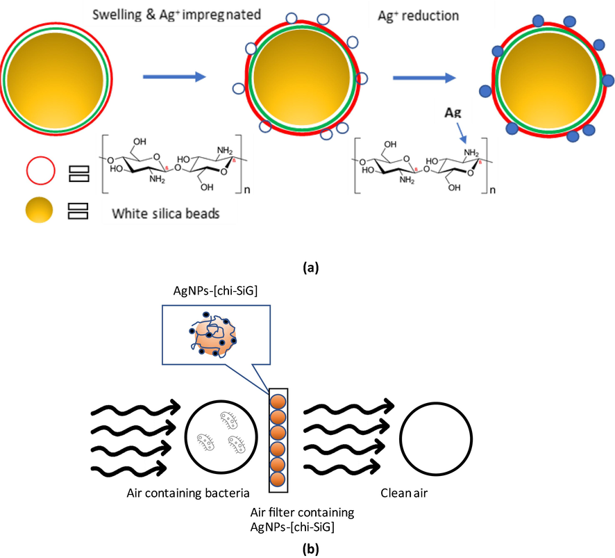 (a) illustration of AgNPs-[chi-SiG] preparation; white-silica-gel beads coated with chitosan films, swelled chitosan films, impregnated silver ion and silver reduction, and (b) the graphical abstract of air filter containing AgNPs-[chi-SiG] and the antibacterial experimental set-up.